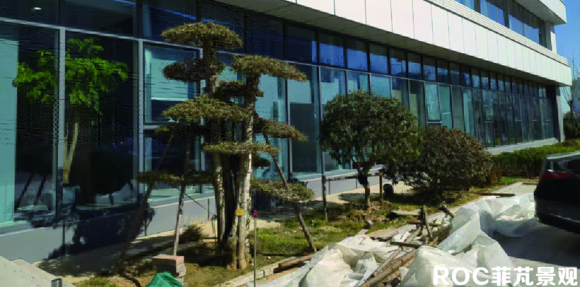 防寒布拆除后.jpg